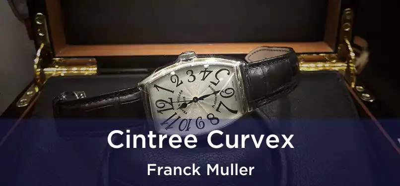  Cintree Curvex Franck Muller