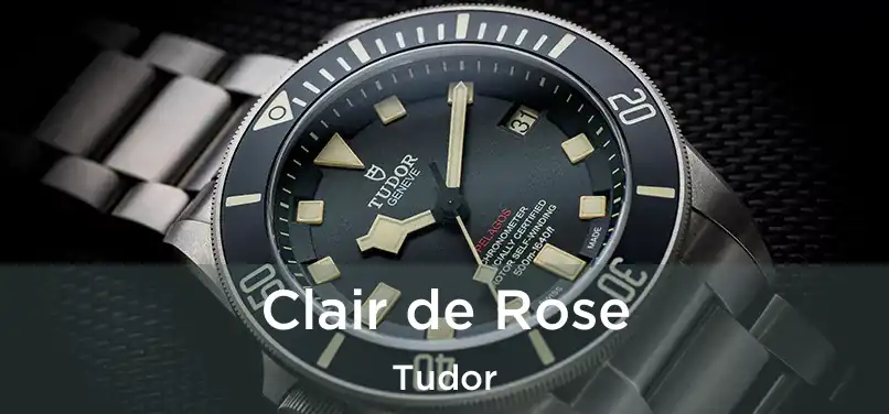  Clair de Rose Tudor