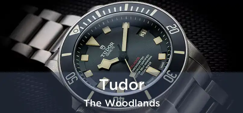  Tudor The Woodlands